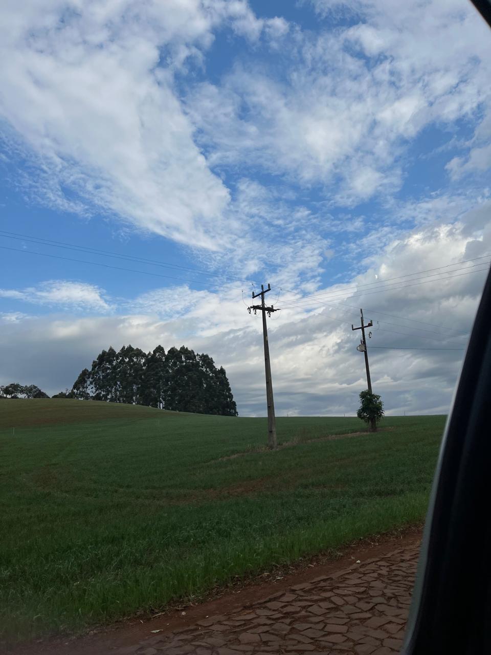 Imagem representativa de plantação.